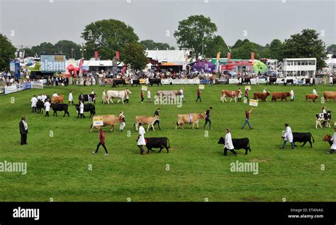 Agricultural Show Uk Hi Res Stock Photography And Images Alamy