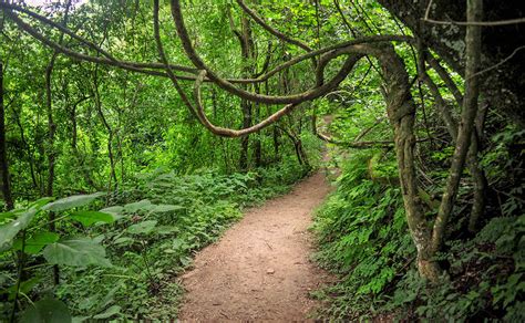 el parque botánico una reserva de flora y fauna autóctona en el corazón de la ciudad somos jujuy