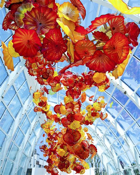 Floating Within The Glasshouse At Chihuly Garden And Glass Chihulygg