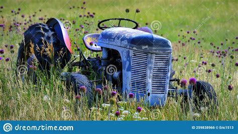 Old Vintage Tractor Antique In Field With Flowers Abandoned Stock Photo