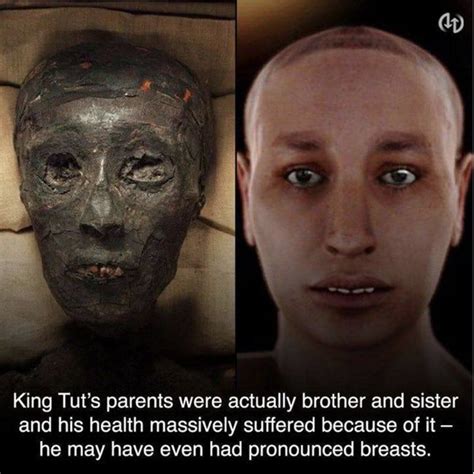 21 Weird Facts About King Tut King Tut Weird Facts King Tut Facts