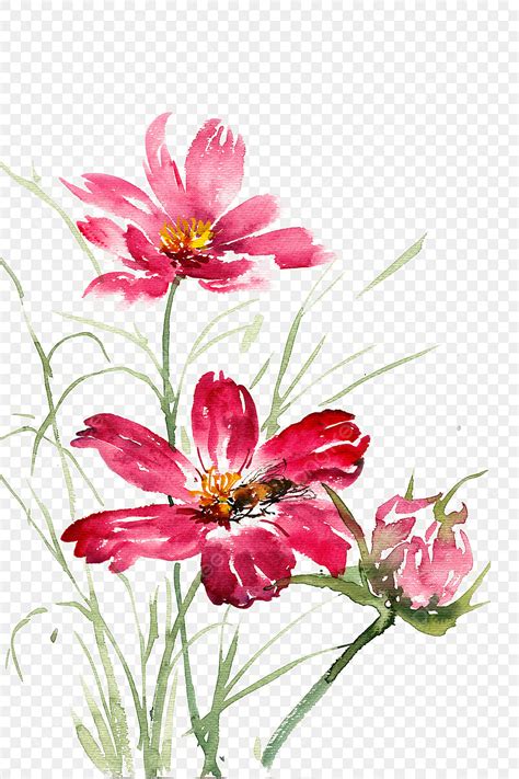 Red Watercolor Flowers Png Image Watercolor Painting Red Gesang Flower