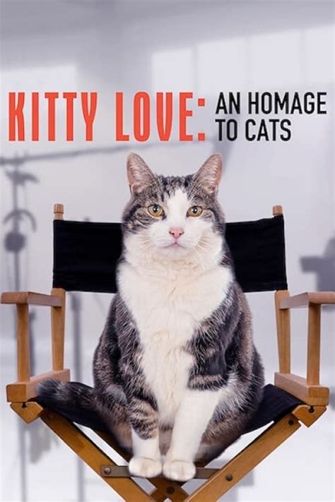 Kitty Love An Homage To Cats 2021 The Poster Database Tpdb