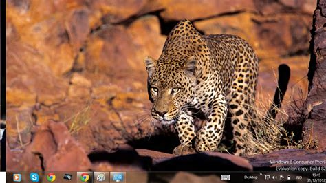 Free Download Windows 8 Themes African Wildlife Theme