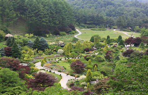 The Garden Of Morning Calm Most Beautiful Garden In Korea