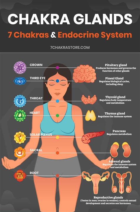 Chakras Organs Of The Body Chakra Glands Chakra Health Energetic
