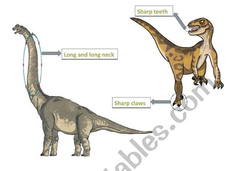 Dinosaur Body Parts Worksheet Dinosaurs Big And Small Lesson Plans Worksheets Slowly Reveal