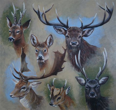 Highland Wildlife Art Course Led By Celebrated Artist Jackie Garner