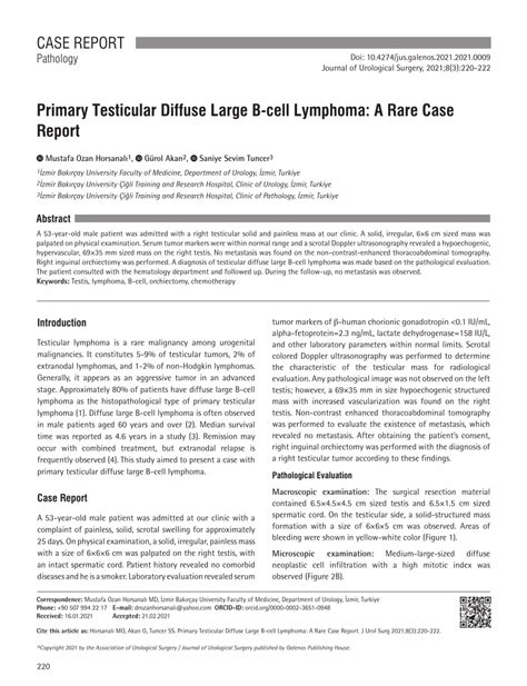 Pdf Primary Testicular Diffuse Large B Cell Lymphoma A Rare Case Report