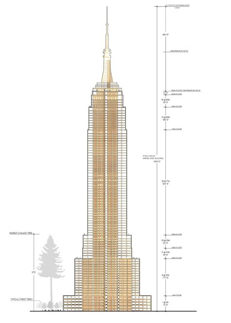 Empire State Building Dimensions Drawing At Getdrawings Free Download
