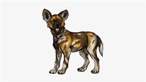 Cute drawing of african wild dog puppy. Item African Wild Dog Pup - Lycaon Pictus PNG Image ...