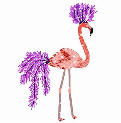 Pink Dance Animated Flamingo Sparkle Bird Pretty