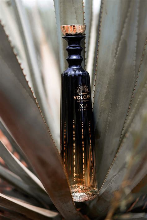 Exclusive Moët Hennessy Introduces Volcán Xa An Ultra Luxe Tequila Wwd