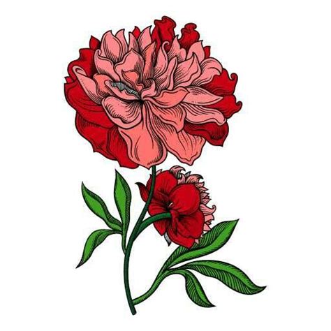 Desenhos Que Eu Pintei No Aplicativo Flower Art Images Cherry