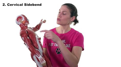 10 Best Neck Pain Stretches Ask Doctor Jo Video Dailymotion