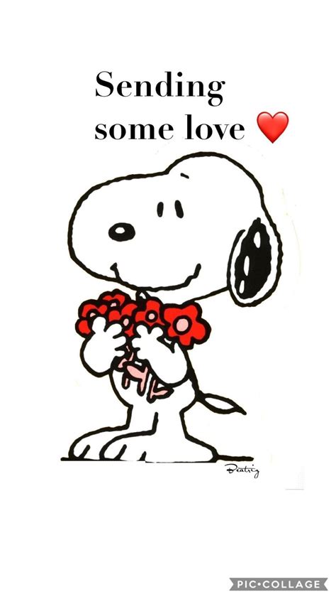 Pin By Night Princess On Snoopy In 2021 Snoopy Quotes Snoopy Love