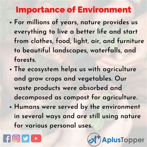 Importance Of Environment Essay Essay On Importance Of Environment