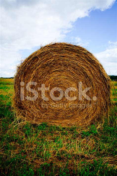 Giant Hay Bale Stock Photo Royalty Free Freeimages