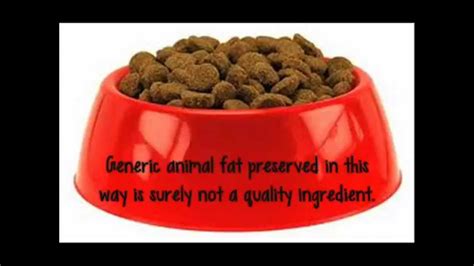 While pedigree dog food is an accessible option for owners on a budget, it's far from the best dog food you could be feeding your canine companions. Pedigree Dog Food: A Closer Look - YouTube