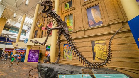 10 Best Things To Do In Denver With Kids Mommy Nearest