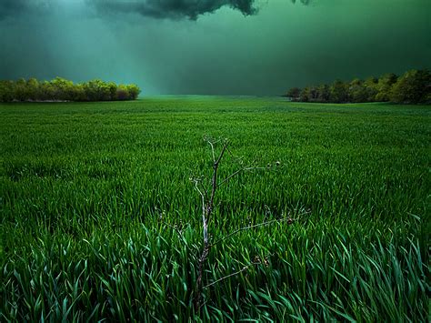 Stormy Sky Over Grass Field Hd Wallpaper Background Image 1920x1441