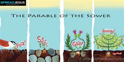 Parable Of The Sower And The Soil
