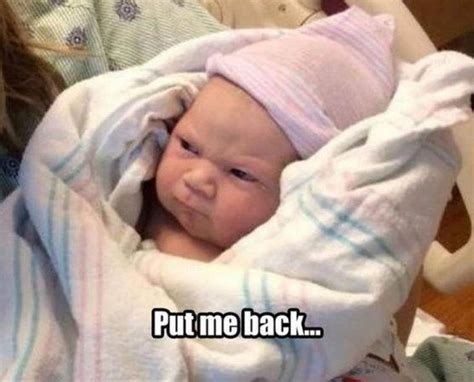 Memes That Make You Lol Irl Part 4 Page 213 Funny Baby Memes