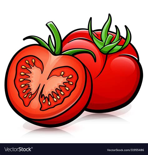 Tomatoes Isolated Design Drawing Royalty Free Vector Image