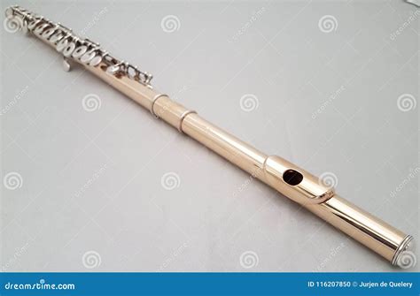 Flute 10k Gold Stock Photo Image Of Silver Gold Golden 116207850