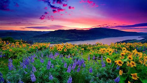 Beautiful Flowers Scenery Spring Sky Clouds Lake Mountains