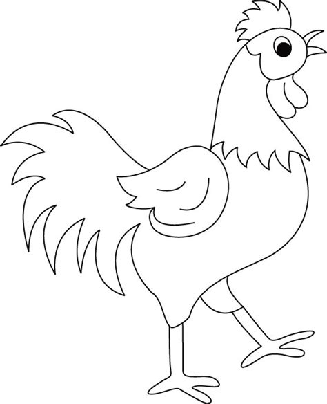 If you are not a paid the draw tool on rapid resizer designer and pro version is a great way to create your own designs. Funny Rooster Coloring Pages For Kids