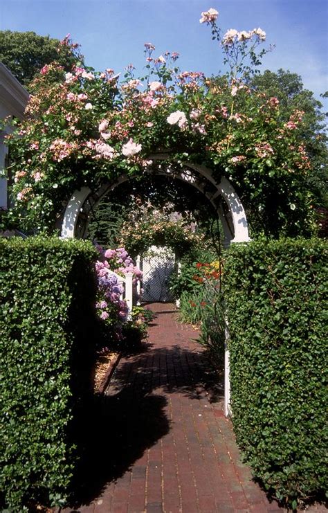 Rose Arbor Photograph By Marianne Miles Fine Art America