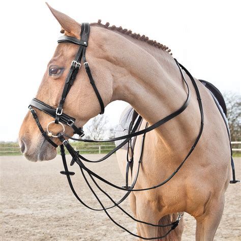 Buy Affordable Draw Reins And Side Reins Now Horzeeu