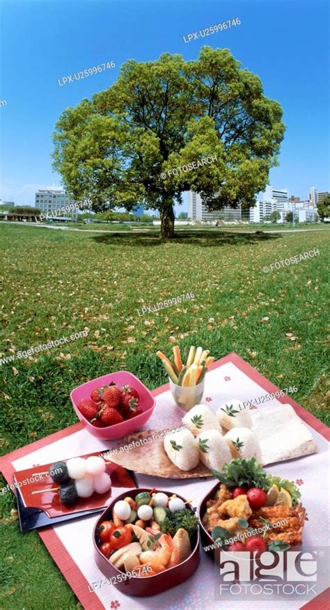 Japanese Picnic Meal On Grass Stock Photo Picture And Royalty Free