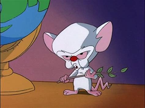 Pinky And The Brain All You Need Is Narf Pinky S Plan Tv Episode Imdb