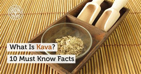 What Is Kava 10 Must Know Facts