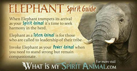 Elephant Spirit Animal Spirit Animal Quiz Spirit Animal Totem Animal