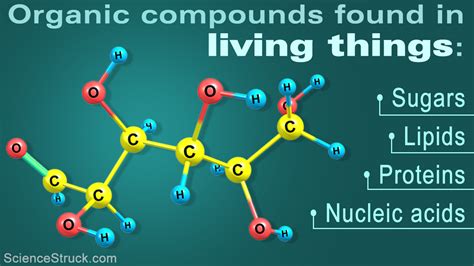 Organic Compounds Examples Pictures - FOTO ~ IMAGES