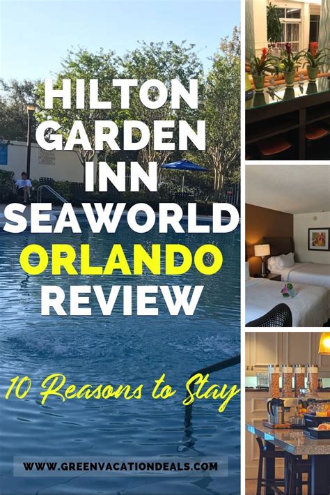 Hilton Garden Inn Seaworld Orlando Review 10 Reasons To Stay In 2022 Hilton Garden Inn