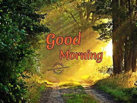 Good Morning Wishes Good Morning Pictures