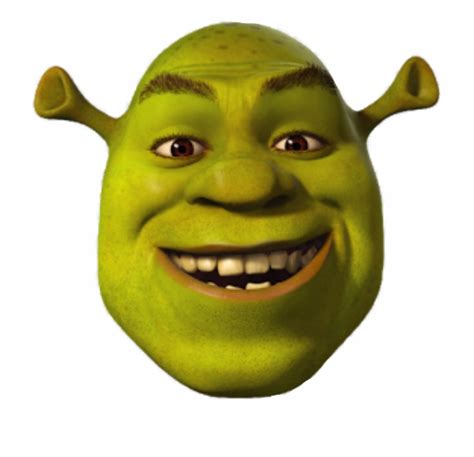 28 Meme Shrek Face Woolseygirls Meme