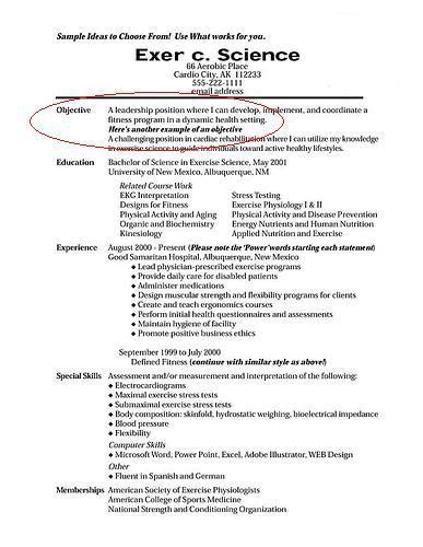 objective  resume examples resume templates resume objective