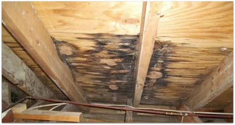 Evidence of small, on going leaks may not be visible until mold has begun growing. What causes attic mold?