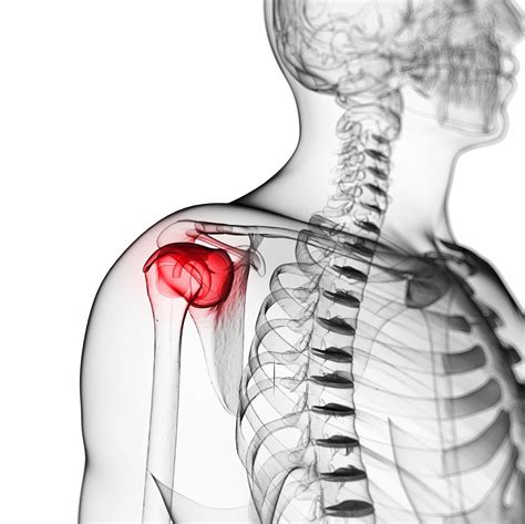 Johnshopkinsmedicine On Twitter Did You Know That Rotator Cuff Injuries Are Among The Most