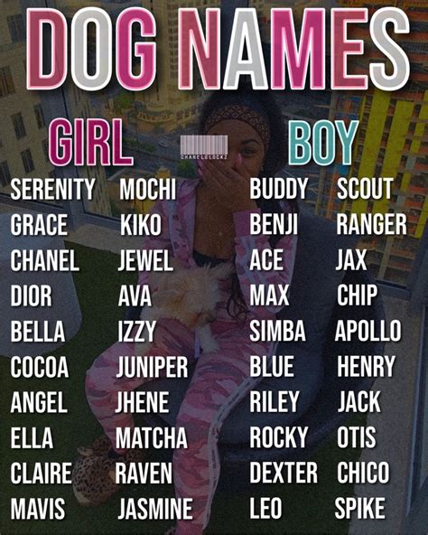 Cute Animal Names Cute Puppy Names Cute Names For Dogs Pretty Names