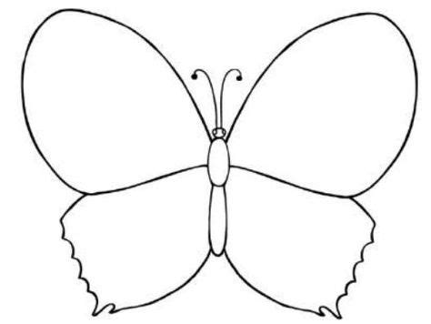 Kemudian anda bisa menghias sayapnya. Kumpulan gambar untuk Belajar mewarnai: Sketsa Gambar Kupu Kupu Mewarnai