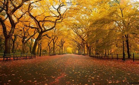 Piclogy Autumn In Central Park Photography By Christopher Schoenbohm