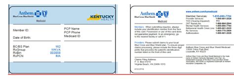 Maybe you would like to learn more about one of these? Anthem Blue Cross Blue Shield Insurance Card | aesthetic name
