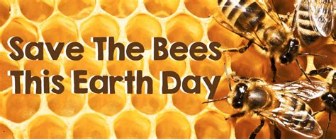 Save The Bees This Earth Day Calton Nutrition