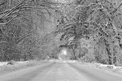 Winter Road In The Countryside Stock Photo Image Of People Black